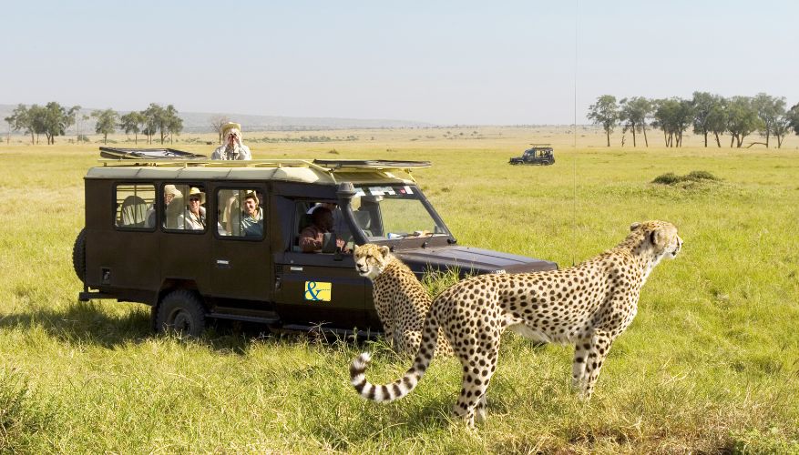 Safari in Kenya